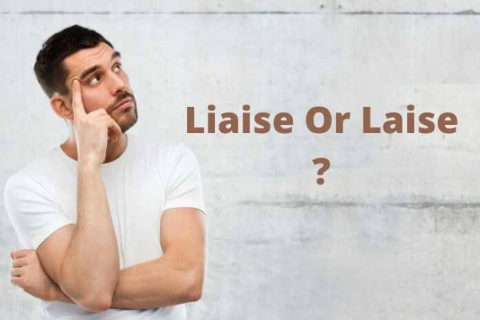 Liaise Or Laise Which One Is Correct