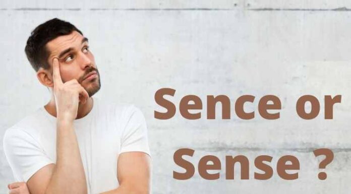 Which one is Correct – Sence or Sense? Which one is Correct - Sence or Sense