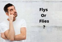 Flys Or Flies: What is the difference? Flys Or Flies