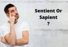 Sentient Or Sapient: What Is The Difference Between These Words? Sentient Or Sapient