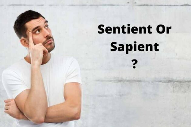 difference between sentience and sapience difference between sentience and sapience