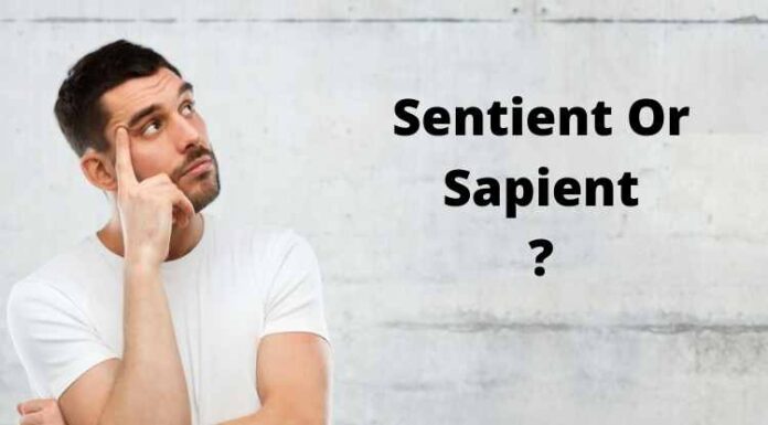 Sentient Or Sapient: What Is The Difference Between These Words? Sentient Or Sapient