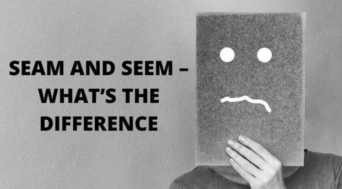 SEAM AND SEEM – WHAT’S THE DIFFERENCE SEAM AND SEEM – WHAT’S THE DIFFERENCE