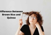 Difference Between Brown Rice and Quinoa Difference Between Brown Rice and Quinoa