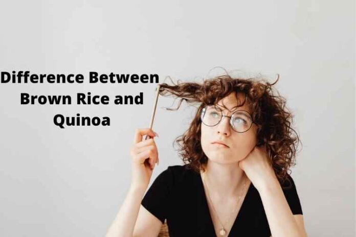 Difference Between Brown Rice and Quinoa