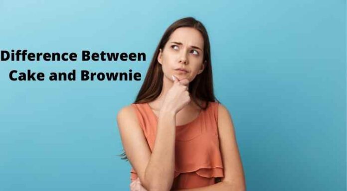 Difference Between Cake and Brownie Difference Between Cake and Brownie