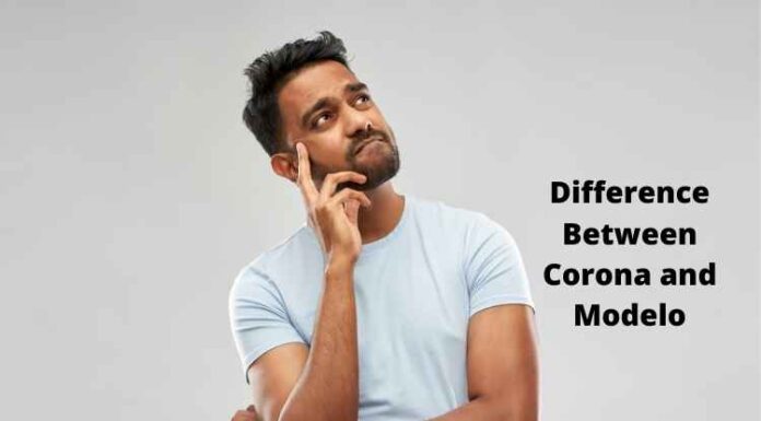 Difference Between Corona and Modelo Difference Between Corona and Modelo