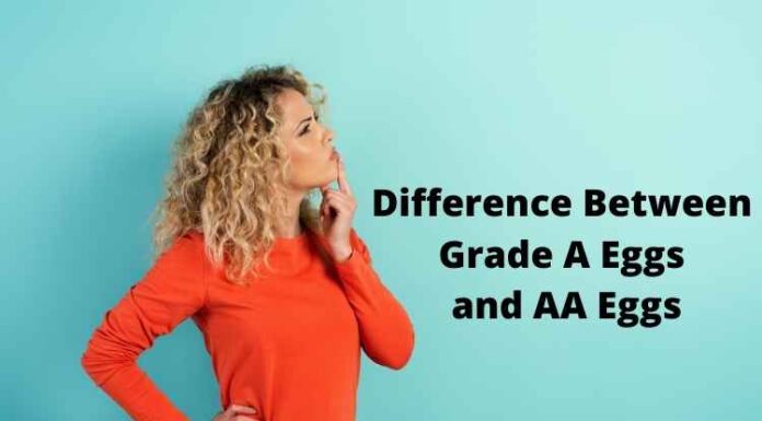 Difference Between Grade A Eggs and AA Eggs Difference Between Grade A Eggs and AA Eggs (1)
