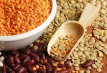Difference between Beans and Lentils Difference between Beans and Lentils