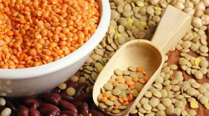 Difference between Beans and Lentils Difference between Beans and Lentils