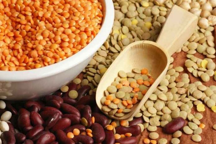 Difference between Beans and Lentils