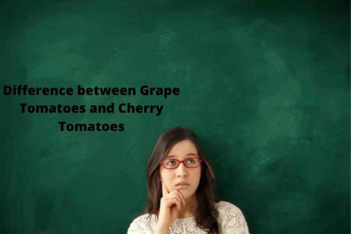 Difference between Grape Tomatoes and Cherry Tomatoes