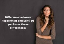 Difference between Peppermint and Mint: Do you know these differences? Difference between Peppermint and Mint Do you know these differences