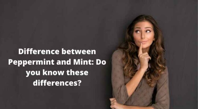 Difference between Peppermint and Mint: Do you know these differences? Difference between Peppermint and Mint Do you know these differences