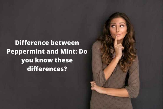 Difference between Peppermint and Mint Do you know these differences