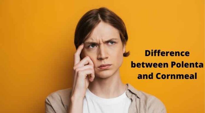 Difference between Polenta and Cornmeal Difference between Polenta and Cornmeal