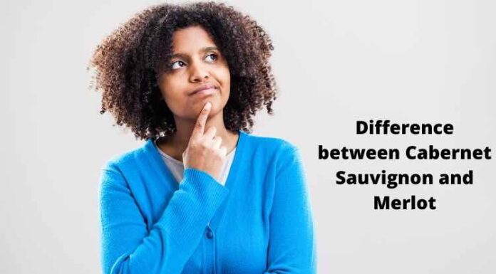 Difference between Cabernet Sauvignon and Merlot Differences between Cabernet Sauvignon and Merlot