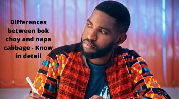 Differences between bok choy and napa cabbage – Know in detail Differences between bok choy and napa cabbage - Know in detail