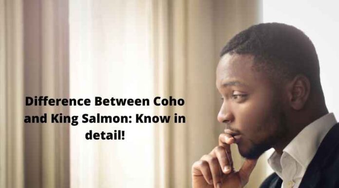 Difference Between Coho and King Salmon: Know in detail! Difference Between Coho and King Salmon: Know in detail!