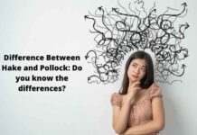 Difference Between Hake and Pollock: Do you know the differences? Difference Between Hake and Pollock: Do you know the differences?