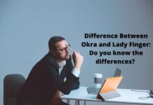 Difference Between Okra and Lady Finger: Do you know the differences? Difference Between Okra and Lady Finger Do you know the differences
