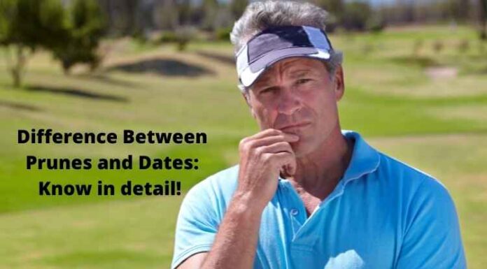 Difference Between Prunes and Dates: Know in detail! Difference Between Prunes and Dates: Know in detail!