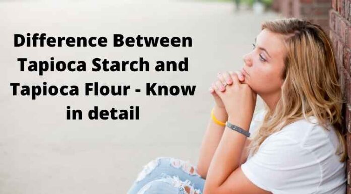 Difference Between Tapioca Starch and Tapioca Flour – Know in detail Difference Between Tapioca Starch and Tapioca Flour - Know in detail