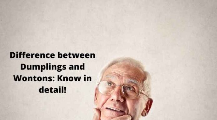 Difference between Dumplings and Wontons: Know in detail! Difference between Dumplings and Wontons: Know in detail!