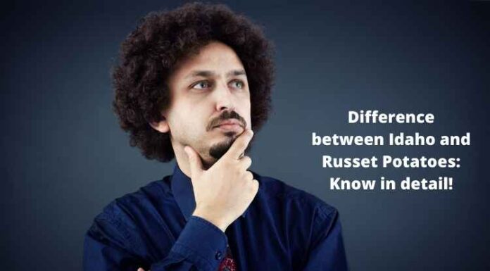 Difference between Idaho and Russet Potatoes: Know in detail! Difference between Idaho and Russet Potatoes Know in detail!