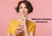 Difference between kcal and cal Difference between kcal and cal