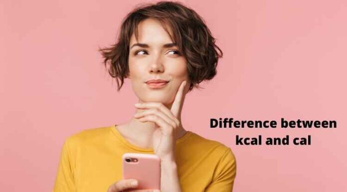 Difference between kcal and cal Difference between kcal and cal