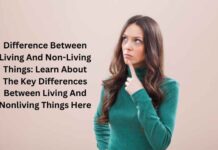 Difference Between Living And Non-Living Things: Learn About The Key Differences Between Living And Nonliving Things Here Difference Between Living And Non