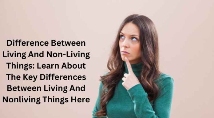 Difference Between Living And Non-Living Things: Learn About The Key Differences Between Living And Nonliving Things Here Difference Between Living And Non