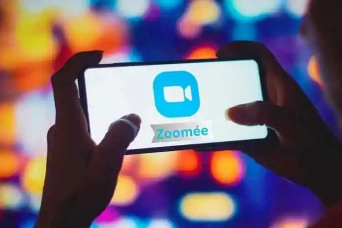 Zoomee- Definition, Image, Photo, Fourmi, Vue- Know in Detail