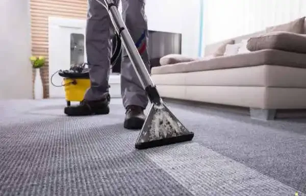 Time-Saving Carpet Cleaning Tips for Busy Homeowners in Melbourne Time-Saving Carpet Cleaning