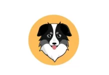 Best Crypto to buy now Australian Safe Shepherd: Know all the information in detail! Australian Safe Shepherd
