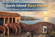 Gorée Island Slave House: History, Memory, and What to Do on Gorée Island Gorée Island Slave House: History, Memory, and What to Do on Gorée Island